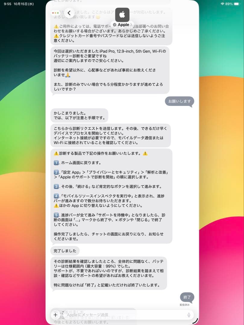 【超美品・最大容量99％】iPad Pro 12.9（第5世代）M1・128GB