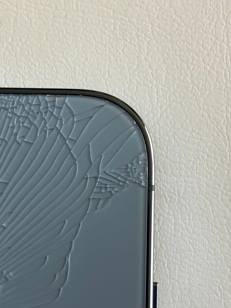 【画面美品　ケース付】iPhone 13 Pro 125GB 背面ひび割れ