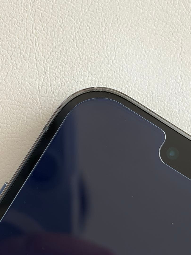 【画面美品　ケース付】iPhone 13 Pro 125GB 背面ひび割れ