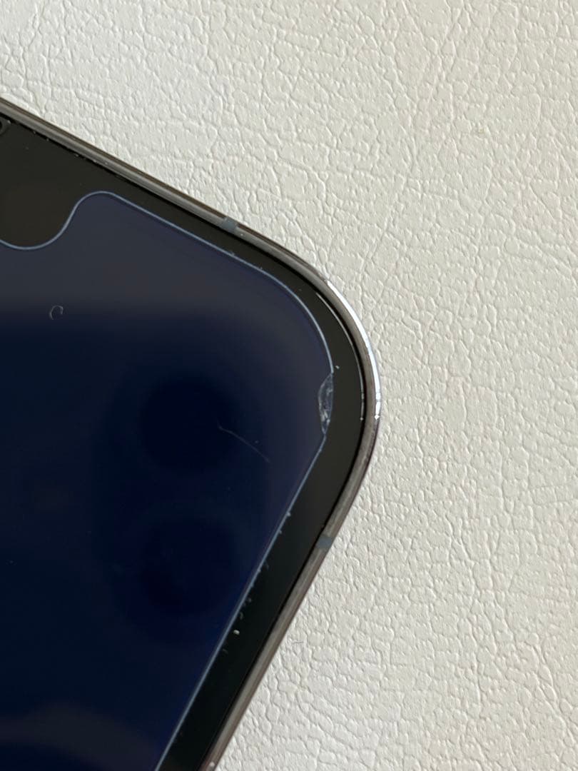 【画面美品　ケース付】iPhone 13 Pro 125GB 背面ひび割れ