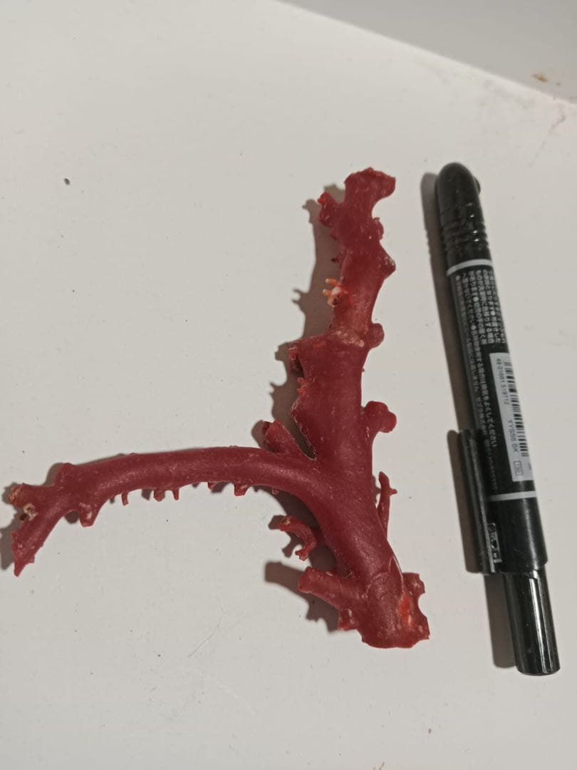 赤いさんご枝状陶芸品 52.9g