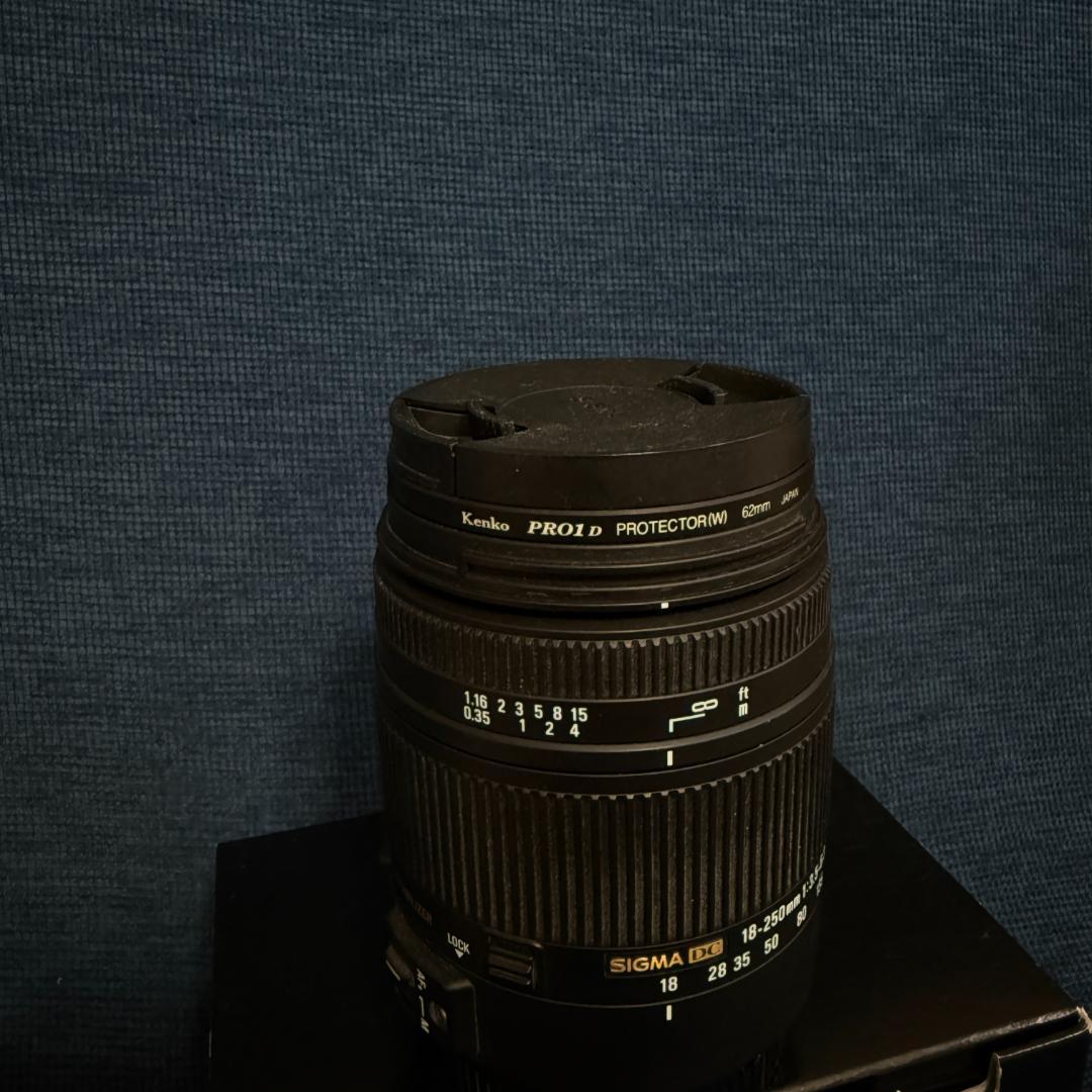 SIGMA 18-250mm F3.5-6.3 DC MACRO OS　＋α