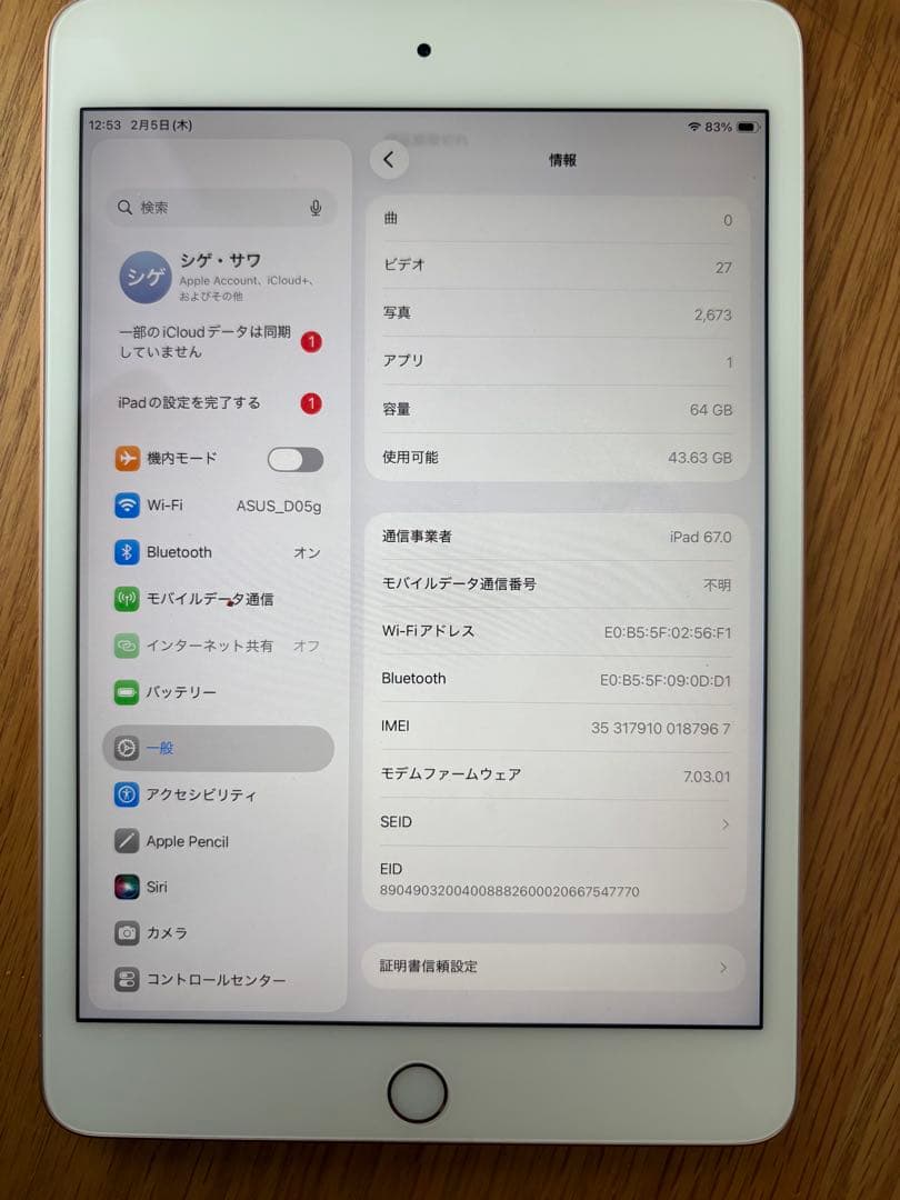 ゴールド iPad本体