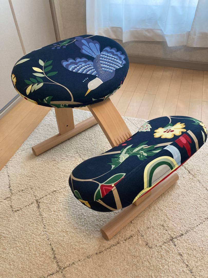 バランス イージー　【専用カバー付き】　バランスラボ　赤　サカモトハウス