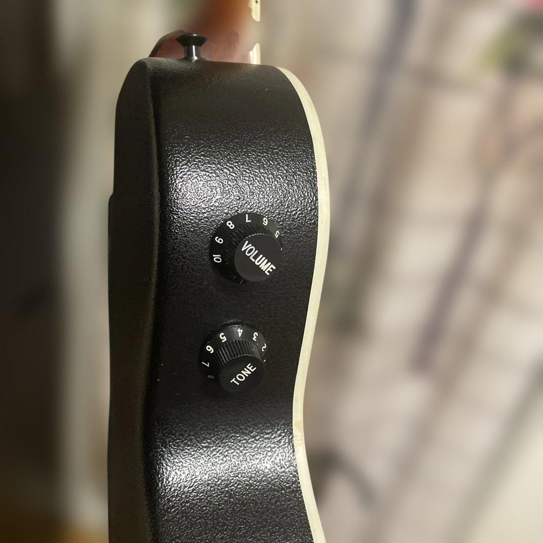 Legend by Aria エレアコ カッタウェイ ソフトケース付き