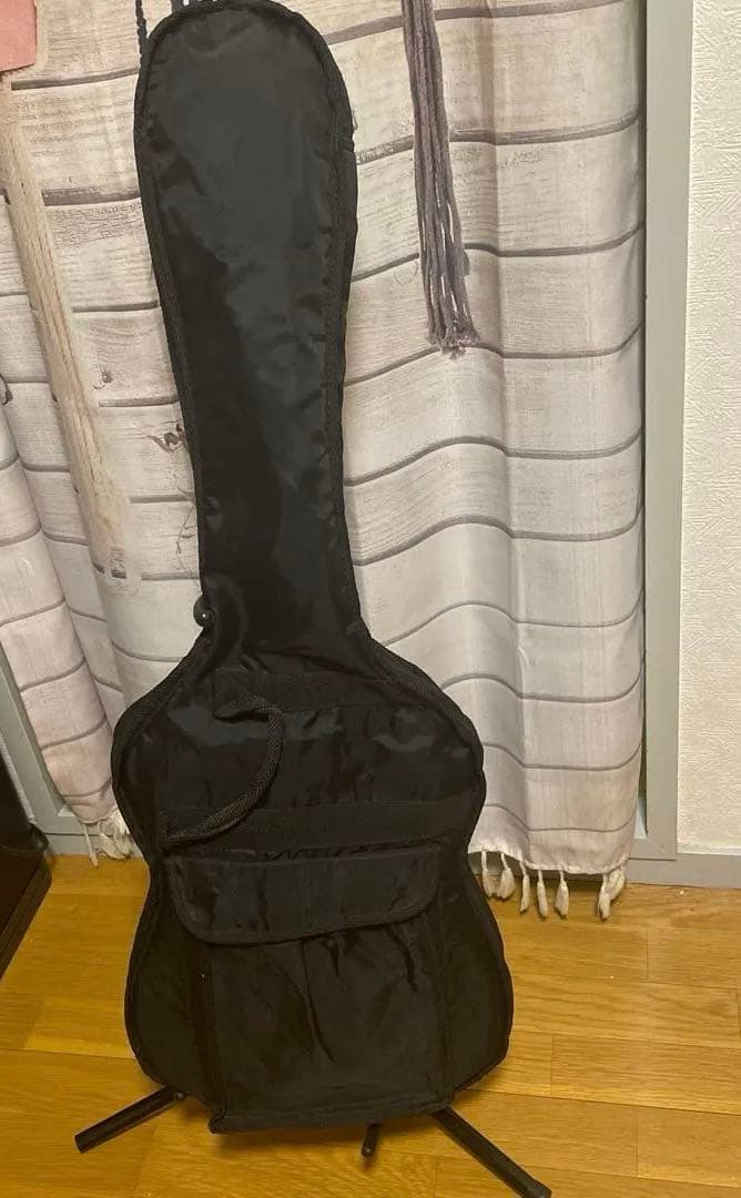 Legend by Aria エレアコ カッタウェイ ソフトケース付き