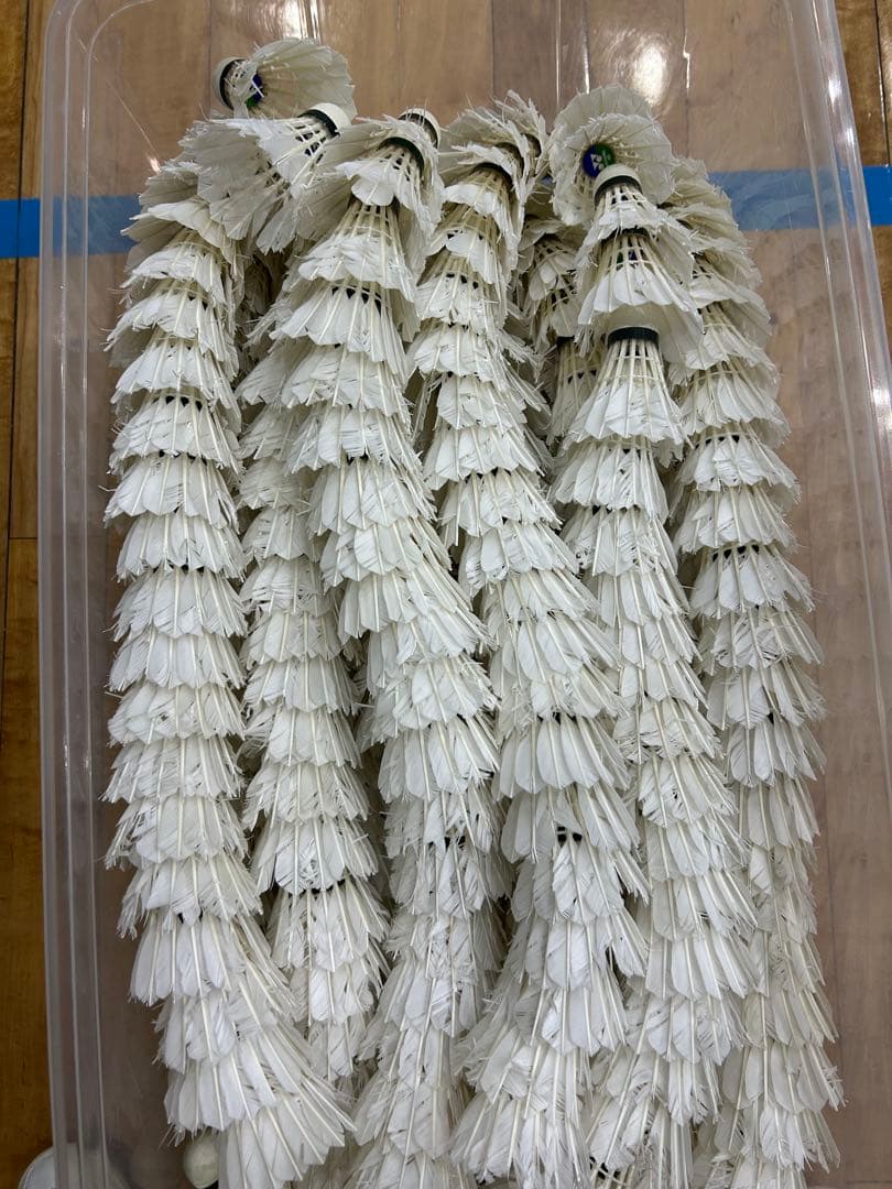 バドミントンシャトル30ダース