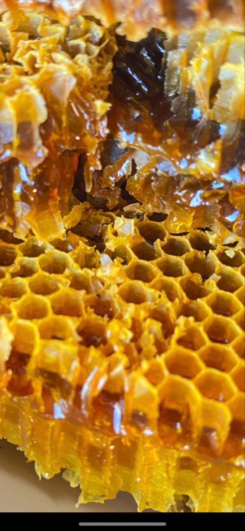 OWHJ 日本蜜蜂の巣蜜(里山の百花蜜無添加コムハニー)2000g