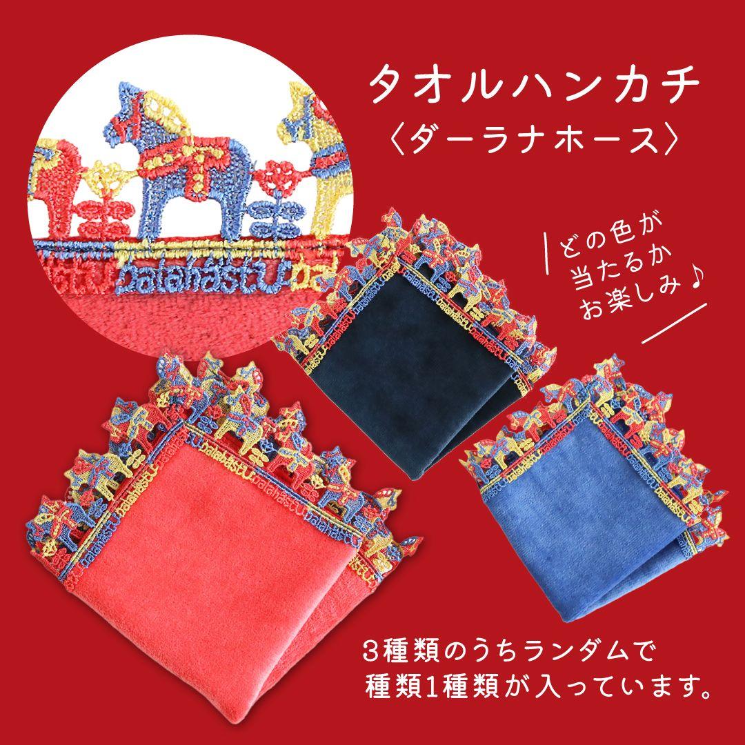 近沢レース　福袋2026　タオルハンカチ　ネイビー