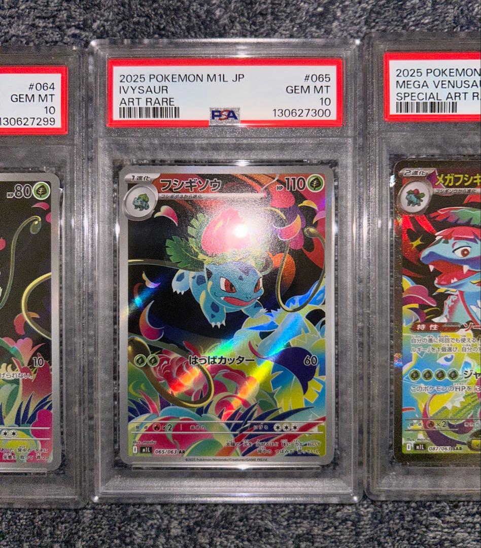 メガブレイブ メガフシギバナSAR フシギソウAR フシギダネAR PSA10