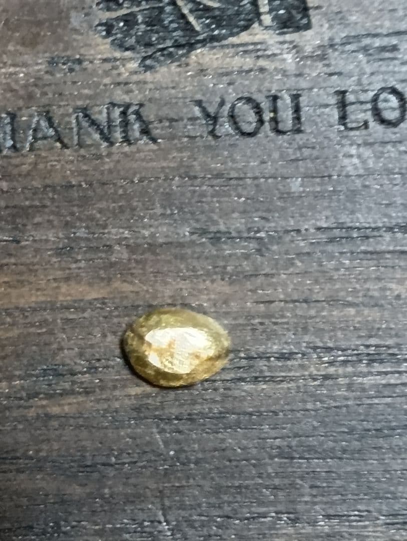 STOP LIGHT ストップライト（ 金目のみ）