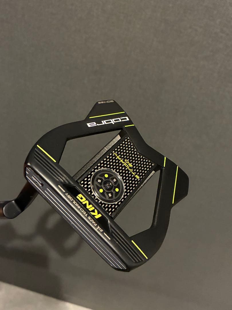 Cobra KING スティングレー20