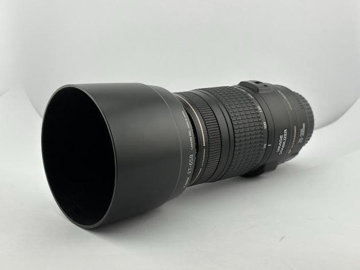 ★美品★キヤノン CANON EF 70-300mm F4-5.6 IS USM