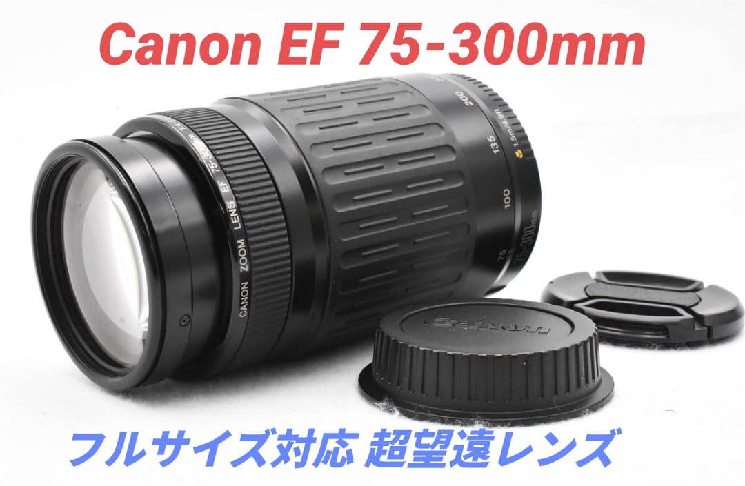 1月29日限定販売♪【超望遠レンズ】Canon EF 75-300mm