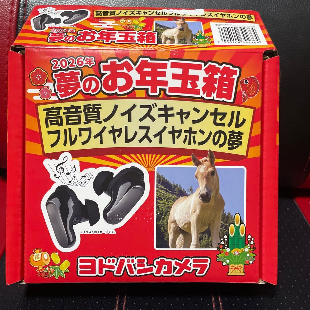 ヨドバシカメラ夢のお年玉箱ワイヤレスイヤホンノイズキャンセル