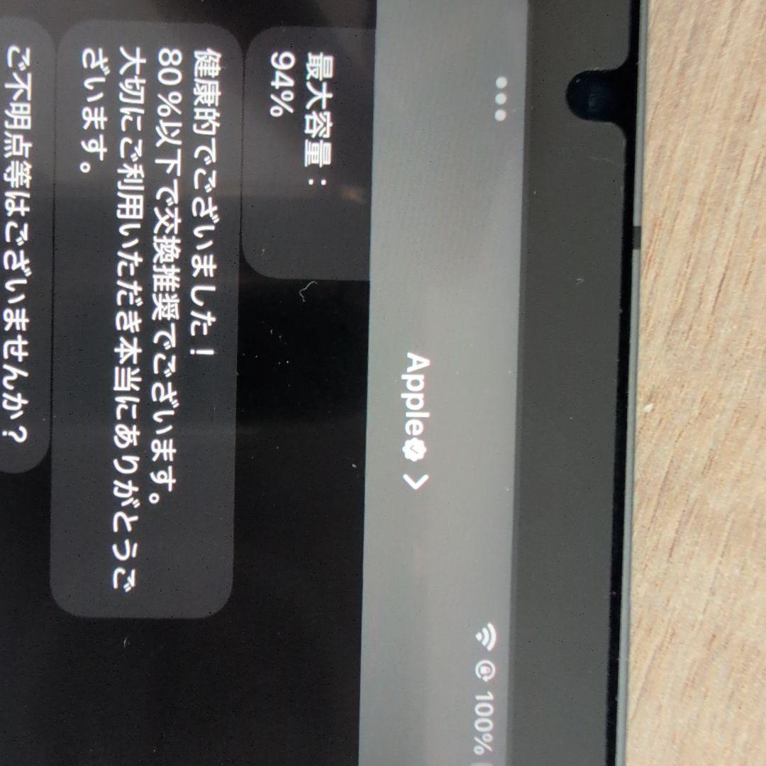 iPad本体 Apple iPad mini6 256GB cellular