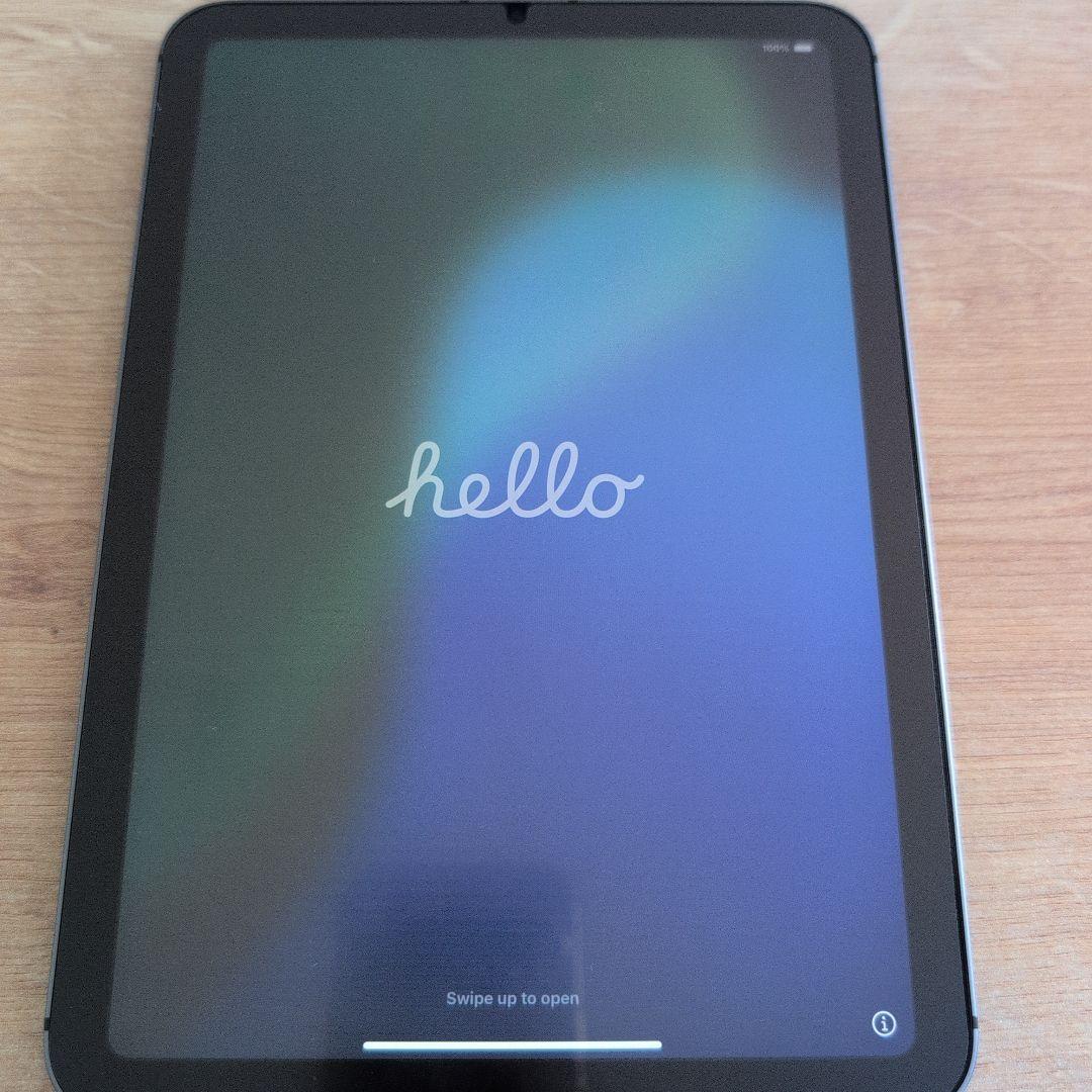 iPad本体 Apple iPad mini6 256GB cellular