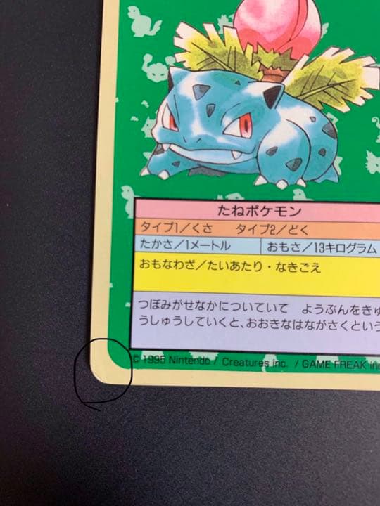 ポケモンカード トップサン フシギソウ 番号なし