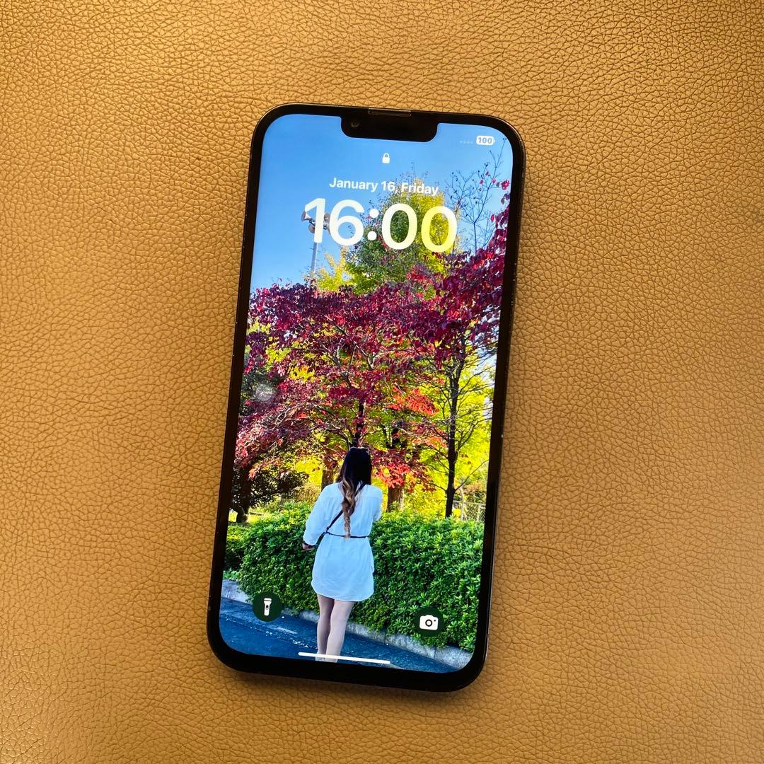 Apple iPhone 13 Pro Max 256GB リームーフ