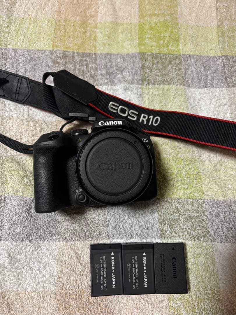 Canon R10・SIGMA 150-600mm (1月限定)