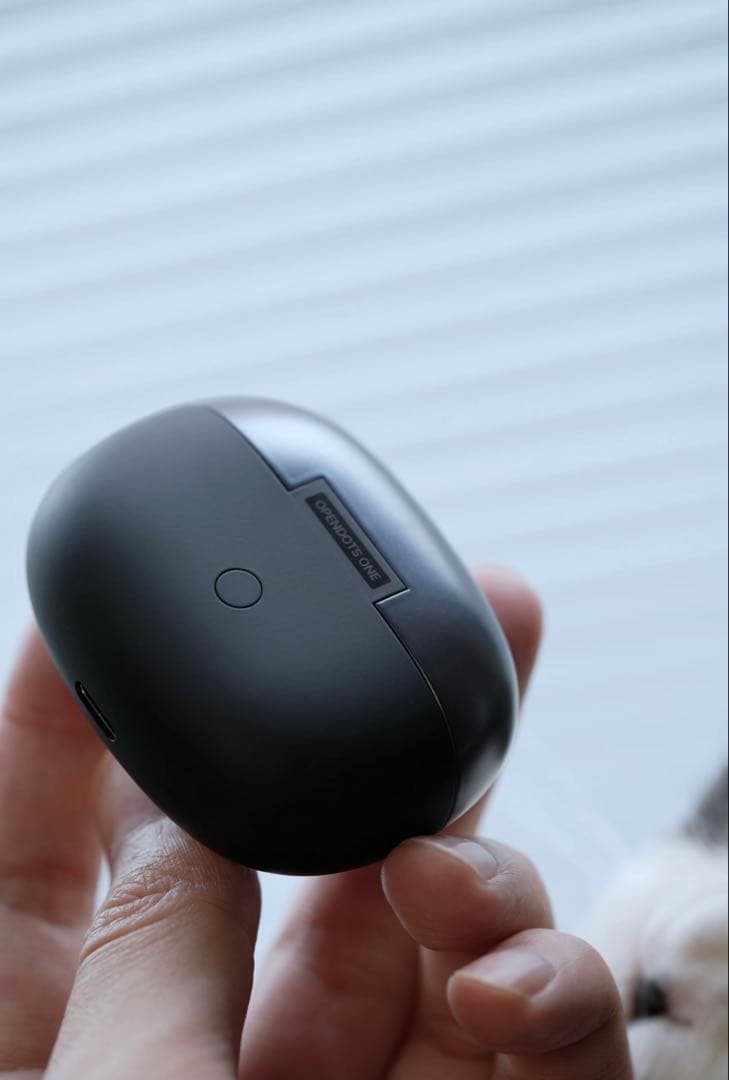 【新品未開封】SHOKZ OPENDOTS ONEブラック