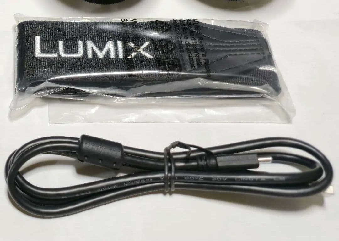 LUMIX DC-S5M2W ダブルレンズキット 【美品/低ショット1108回】