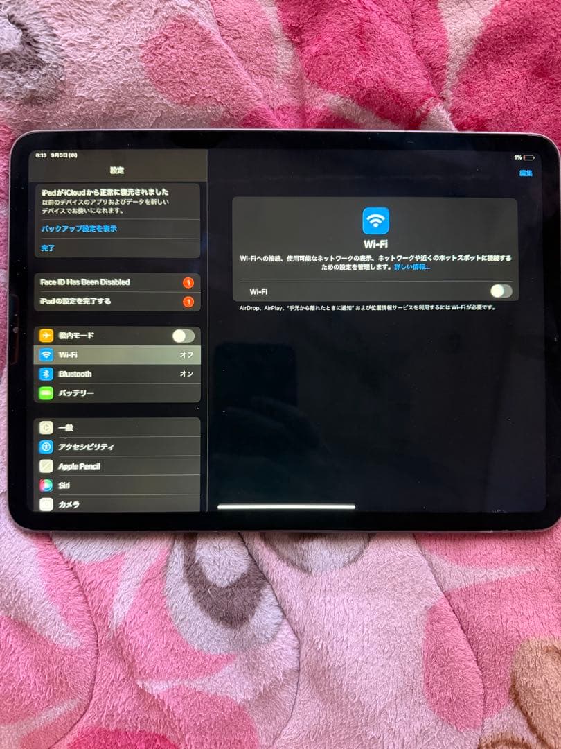 iPadpro11インチ 第1世代