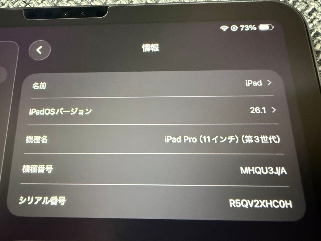 美品Apple iPad Pro 11インチ (M1) 256GBスペースグレー