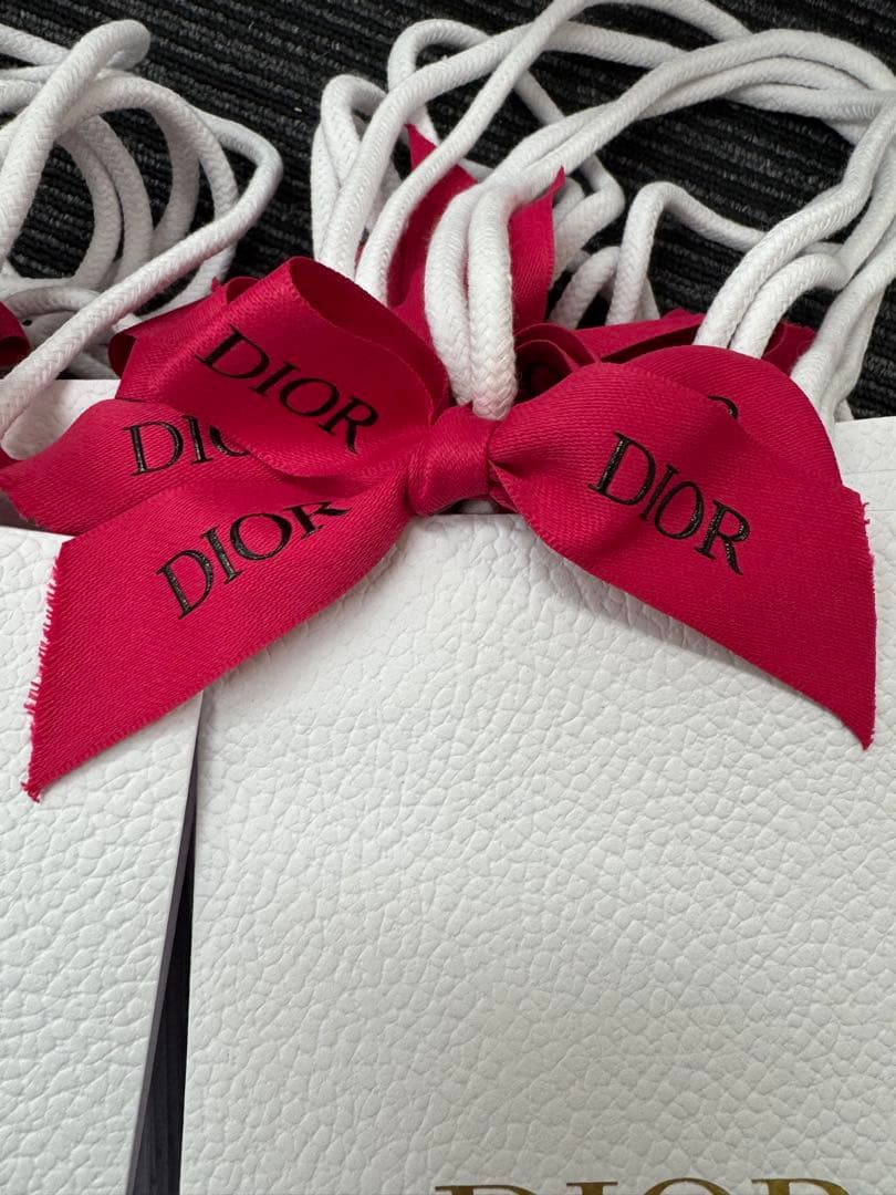 DIOR ディオール　2026年　バレンタイン　ショッパー　ギフト紙袋　100個