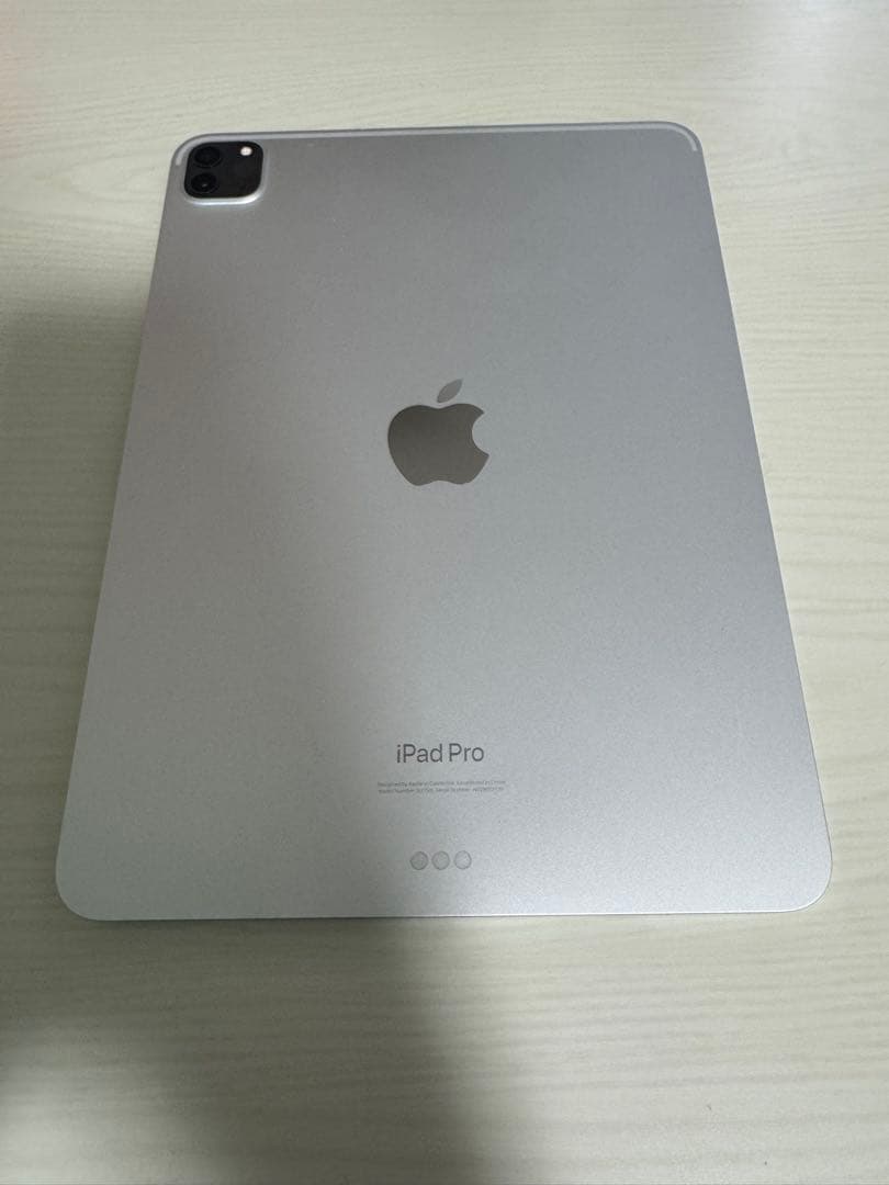 【ほちゃま】 iPad Pro 11インチ 第4世代 128GB