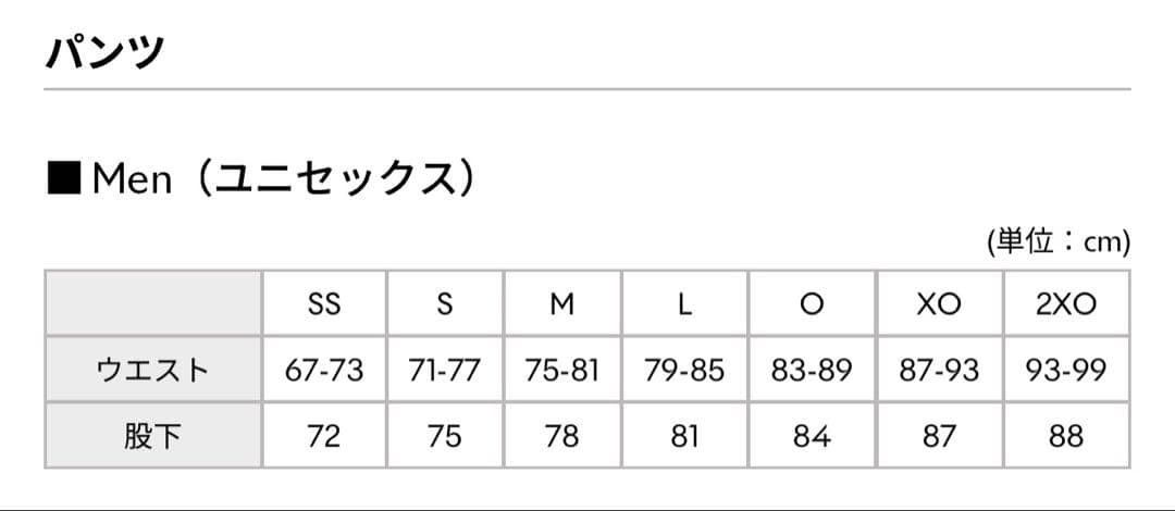 DESCENTE デサントメイト　スキーウェア上下　Oサイズ　2024/25