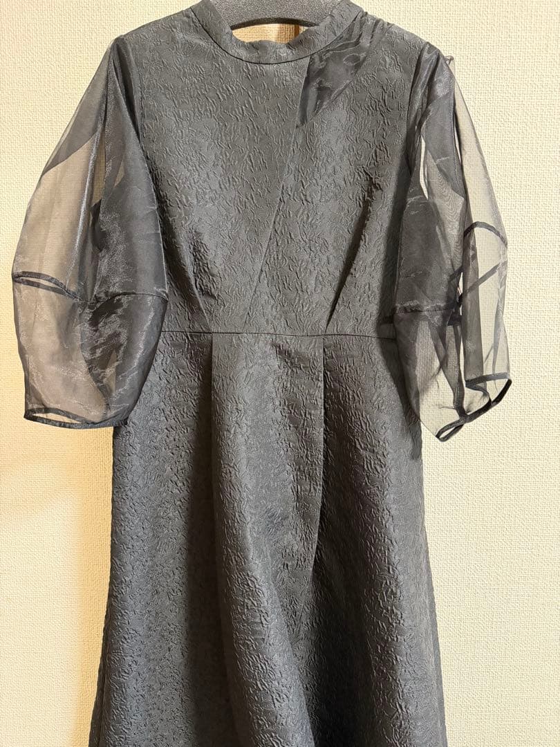 RUIRUE BOUTIQUE シアーランタンスリーブふくれジャガードドレス