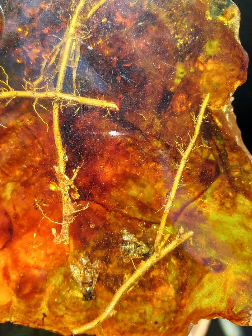 ☆ht☆美品！琥珀の置物