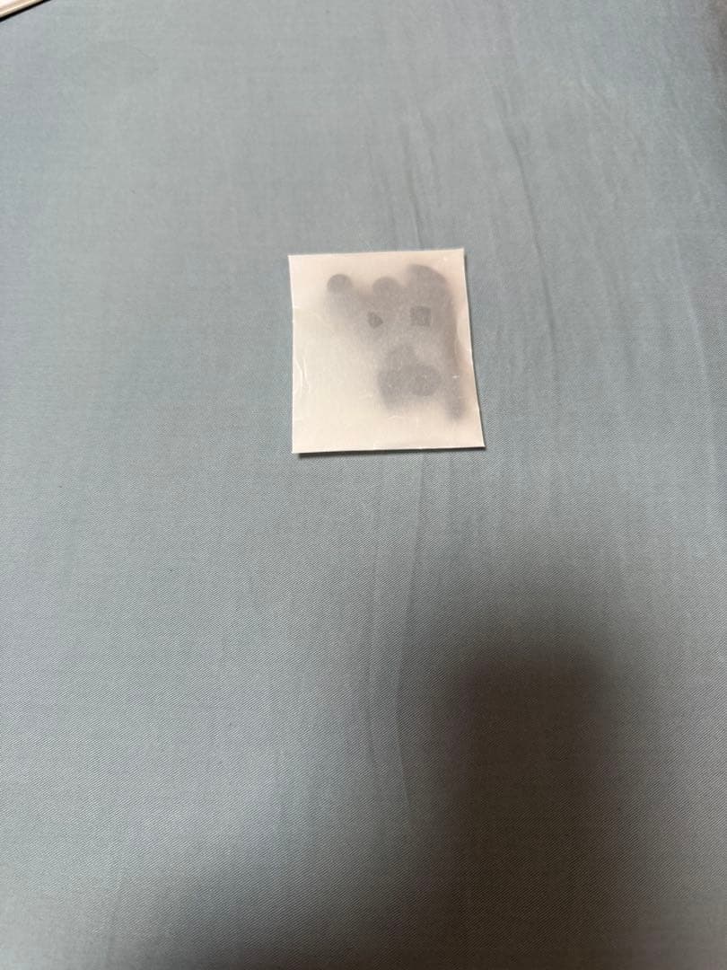 ゼンハイザー IE300イヤホン