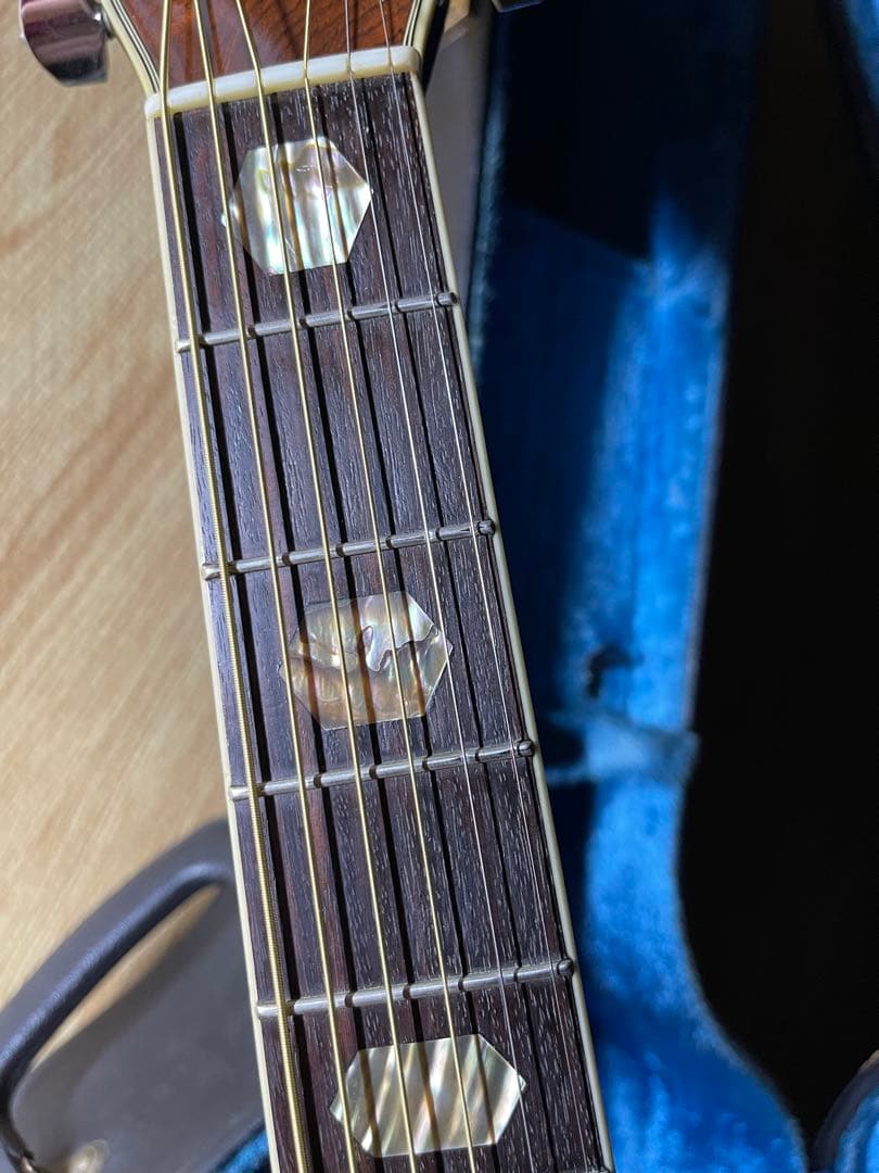 Morris W-60 ハカランダ材 トップ単板