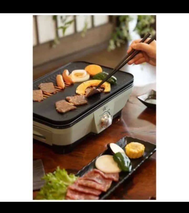 アラジン グラファイト ミニグリラー ホットプレート CAG-MG7A(G)