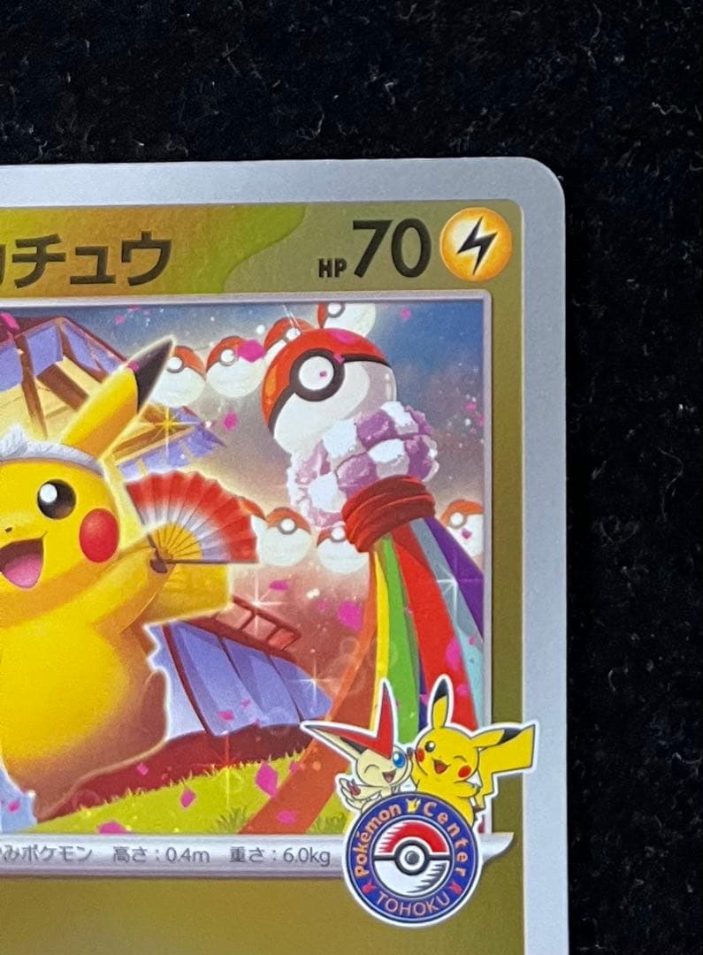 トウホクのピカチュウ ③