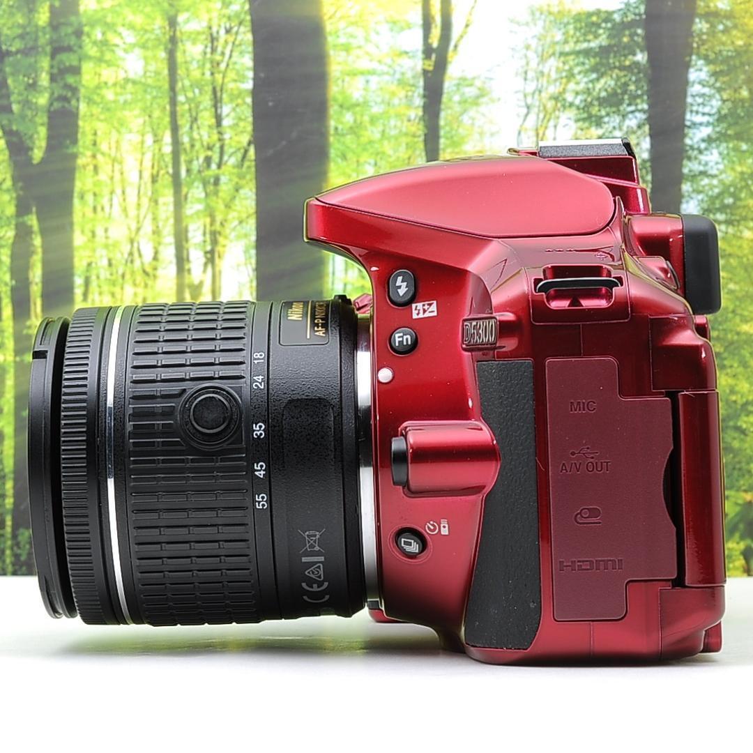 ショット数137枚？！WiFi付き一眼レフ☆ニコン D5300+AF-Pレンズ