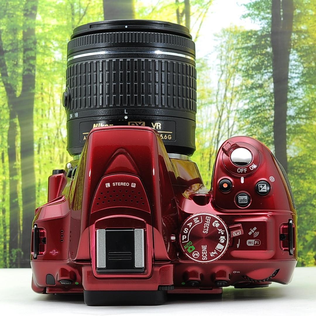 ショット数137枚？！WiFi付き一眼レフ☆ニコン D5300+AF-Pレンズ