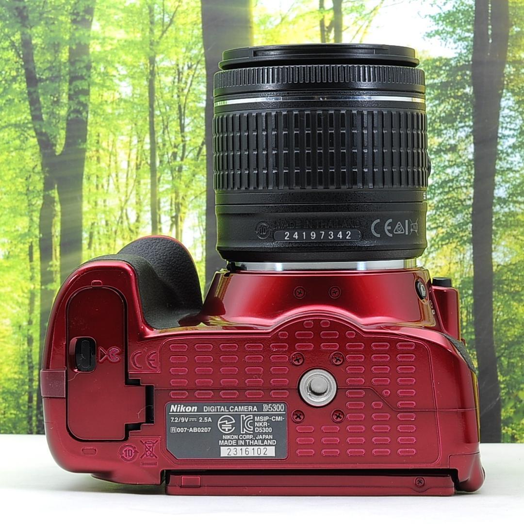 ショット数137枚？！WiFi付き一眼レフ☆ニコン D5300+AF-Pレンズ