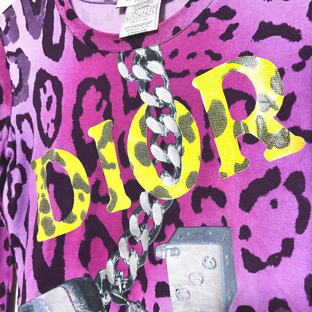 Dior ディオール　カットソー　レオパード　ロゴ　長袖