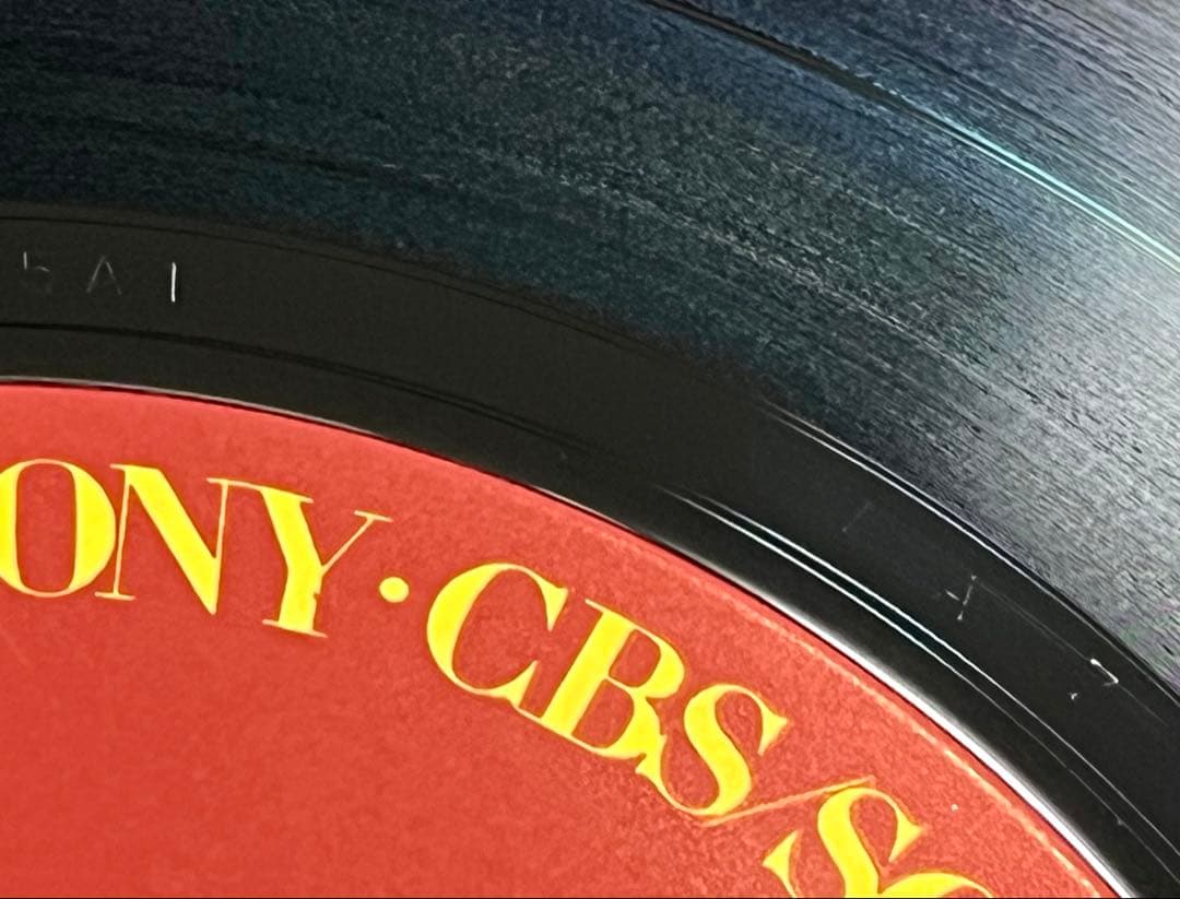 美品LP★オジーオズボーン/罪と罰★初回特典ステッカー付 レコード 再生確認済