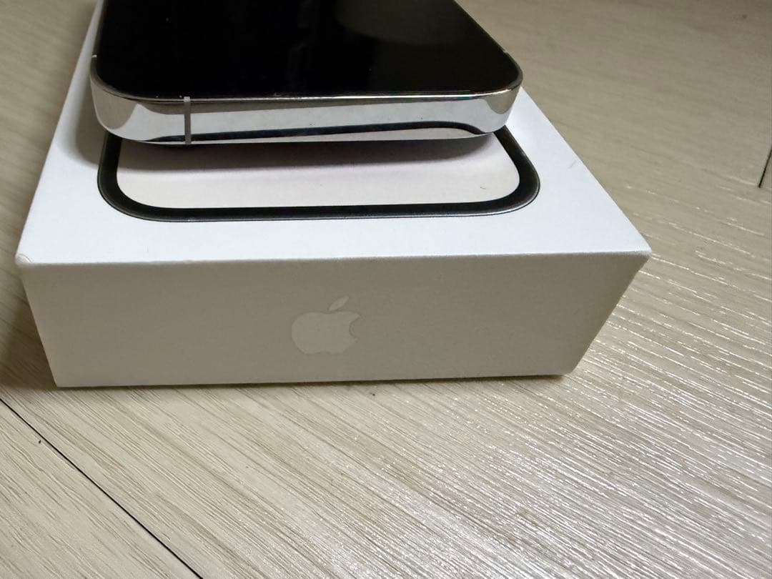 Apple iPhone 14 Pro シルバー（256GB）