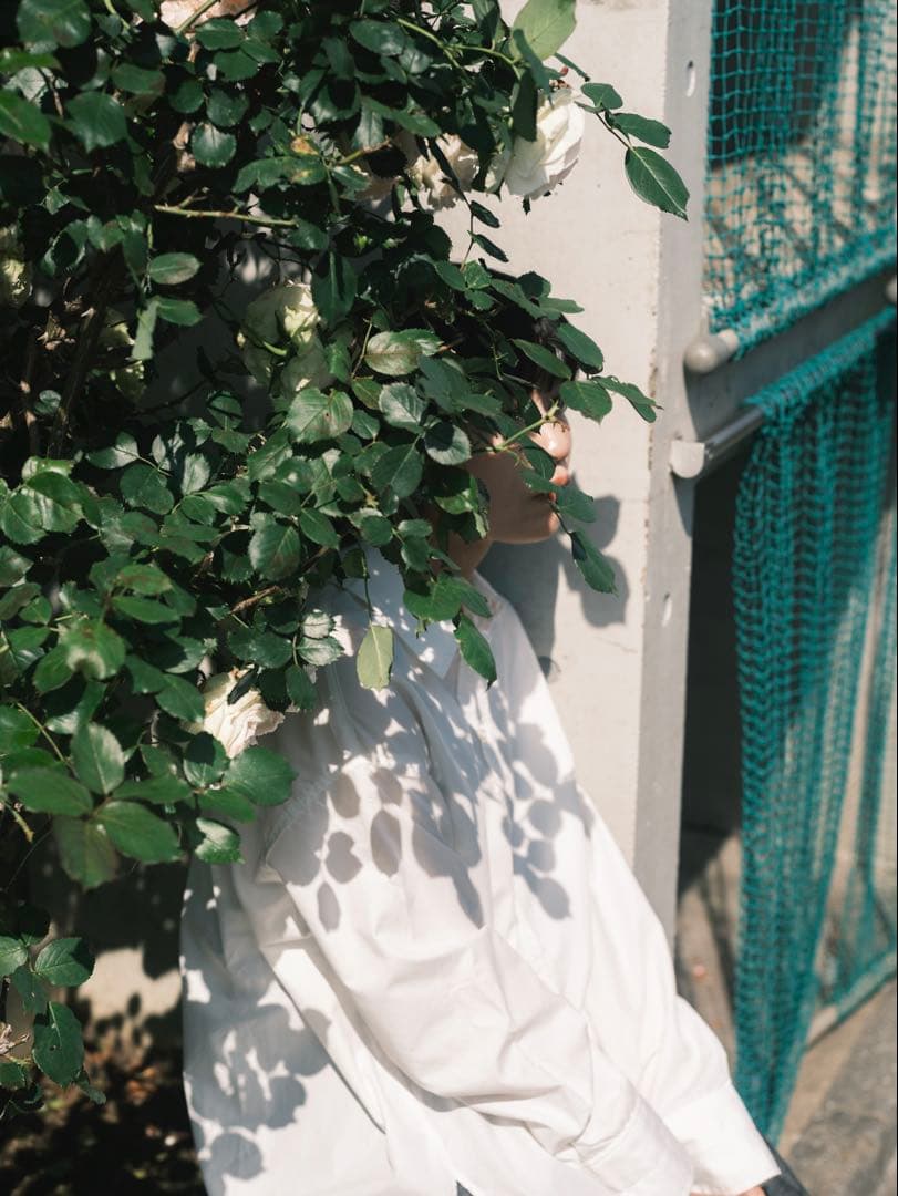 Mamiya Sekor C 80mm f/1.9 レンズ+アダプター