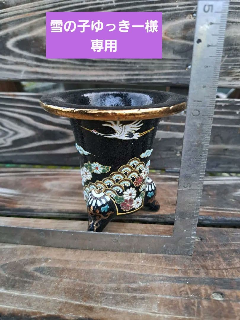 錦鉢　万年青　オモト　おもと　長生蘭　伝統園芸　植物　風蘭　富貴蘭　古典　着生蘭