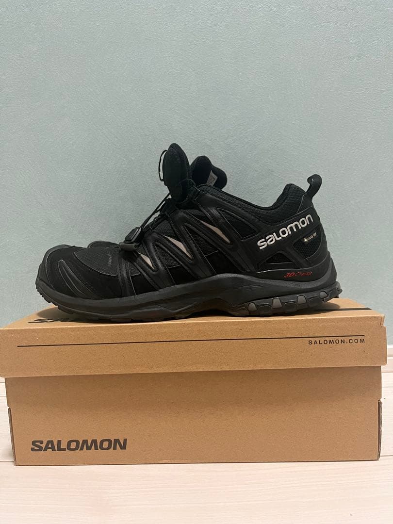 靴 SALOMON XA PRO 3D GTX