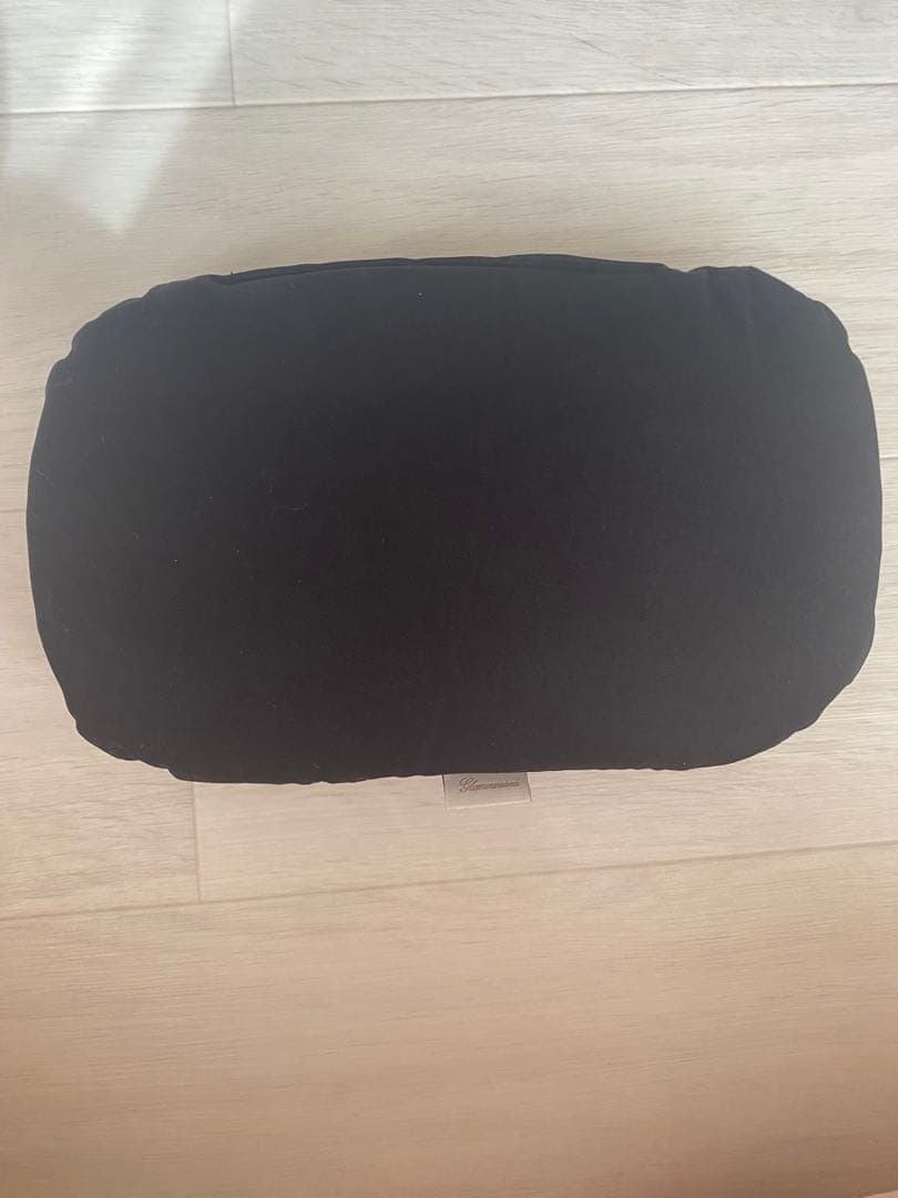 試着のみ　未使用　激レア！　完売品　グラマーイズム　ペット　キャリーバッグ