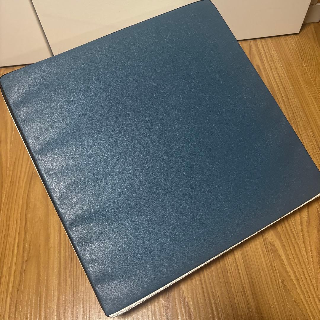 美品　サンテプラス フレックスクッション　パールホワイト