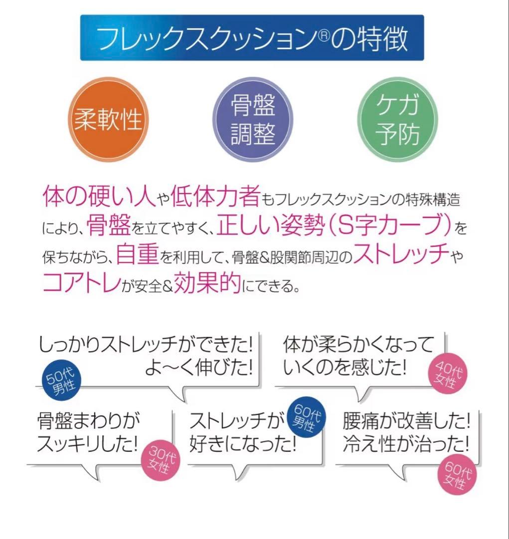 美品　サンテプラス フレックスクッション　パールホワイト