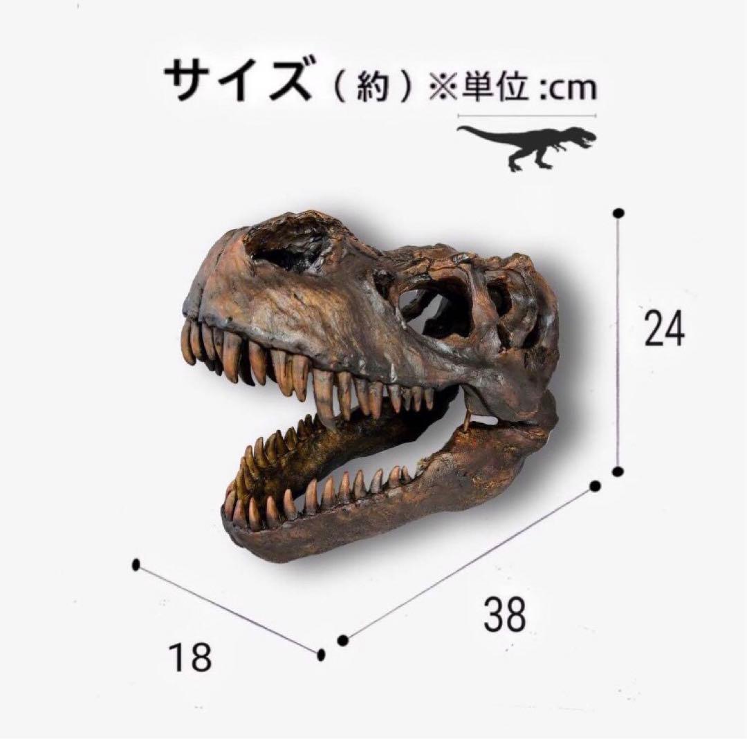 ✨大迫力✨ ティラノサウルス 恐竜の化石 頭骨 インテリア ジュラシックワールド